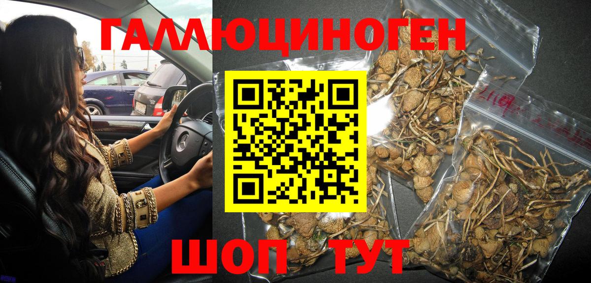 Галлюциногенные грибы MAGIC MUSHROOMS  Вход с VPN  Стрежевой  Галлюциногенные грибы ЛСД 